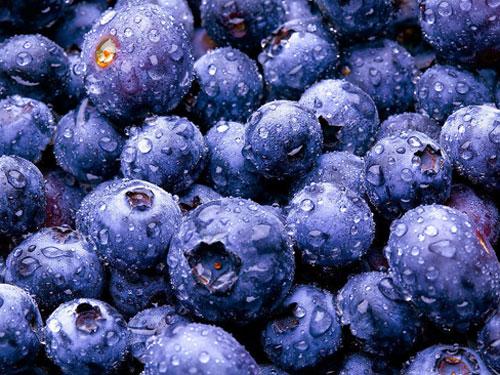 Blueberry