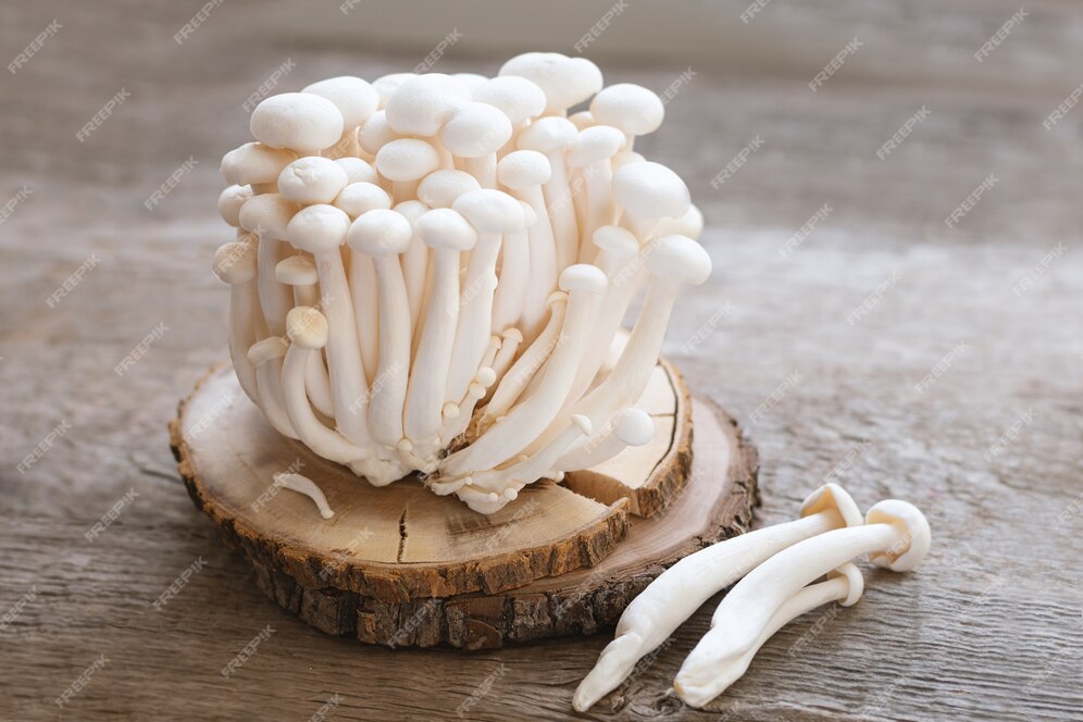 White shimeji
