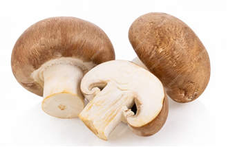 shitake mushroom